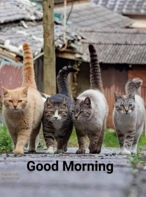 FB_IMG_1759512182022.jpg