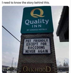 1000013811.jpg