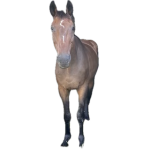 1759601756077.png