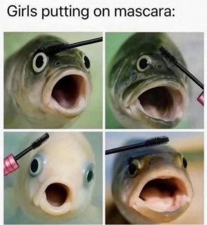 FB_IMG_1759586220871.jpg
