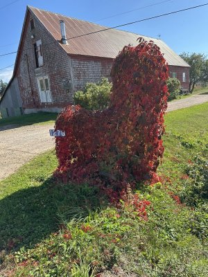 IMG_0850.jpeg