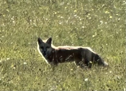 IMG_1851.jpeg