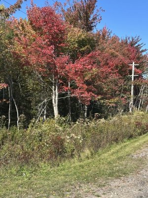 IMG_0808.jpeg