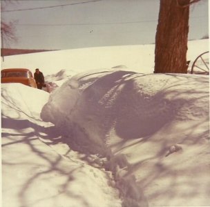 winter 78.jpg