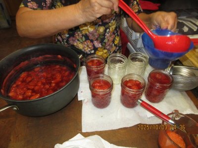 IMG_2080.JPG