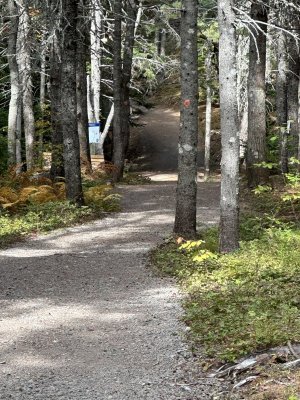 IMG_0867.jpeg
