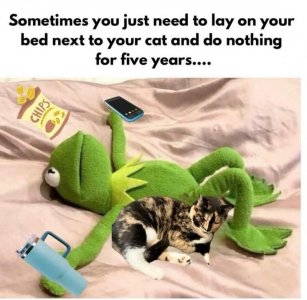 FB_IMG_1759556020935.jpg