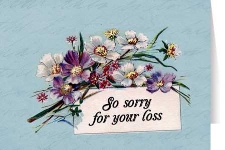 so sorry for your loss.jpg