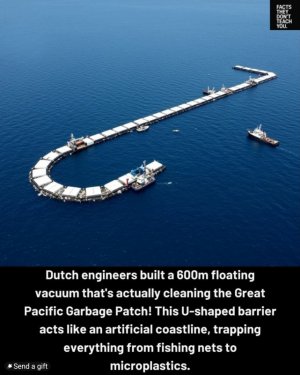 1000006809.jpg