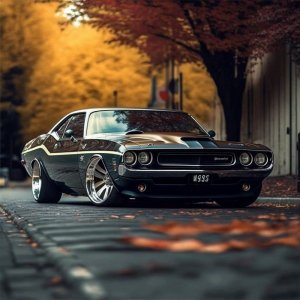 dodge challenger.jpg