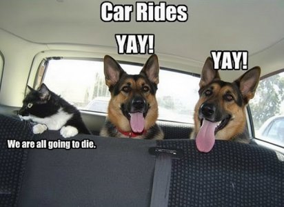 car rides.jpg
