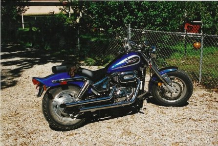 suzuki.jpg