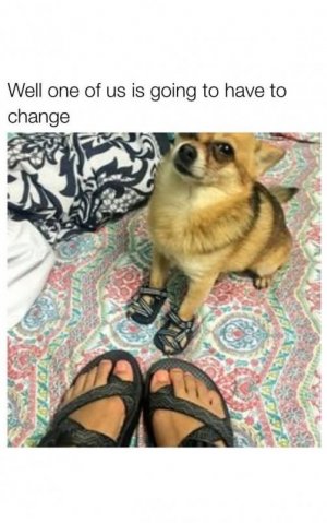 1000005962.jpg