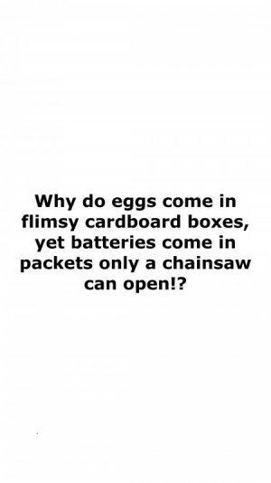 1000005963.jpg