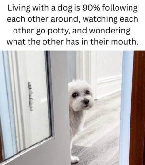 1000005964.jpg