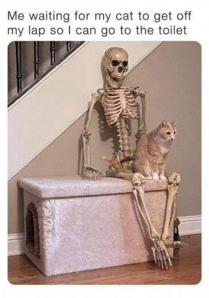 1000005975.jpg