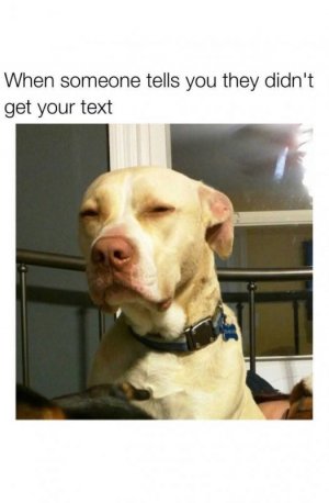 FB_IMG_1759935789012.jpg