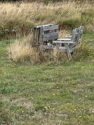 IMG_0907.jpeg