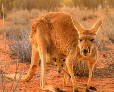 IMG_1139.jpeg IMG_1139.jpeg