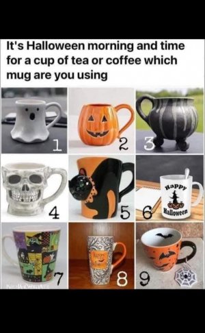 FB_IMG_1759867086385.jpg