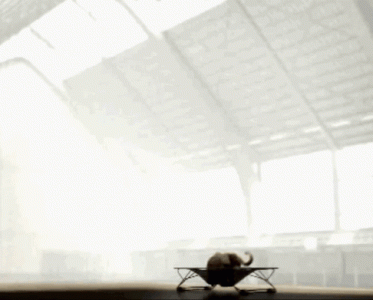 tumblr_ce7f600ced586052f1fb9a7567a26e48_7d9bb195_500.gif.gif