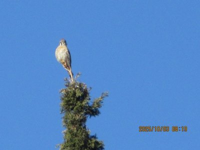 IMG_2043.JPG