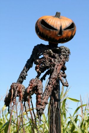 scare1.jpg