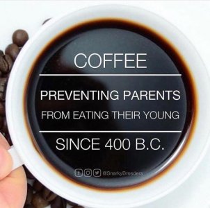 coffee5.jpg