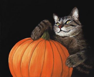 halloween-cat-anastasiya-malakhova.jpg