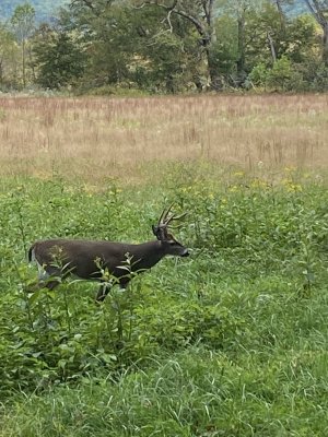 IMG_0548[1].JPG