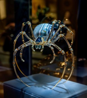 blue spider.jpg