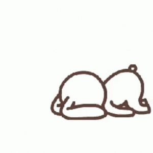 Messenger_creation_0E5F4CA9-7FFA-4ADE-A817-E8E313B98C85.gif