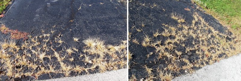 cracks1.jpg