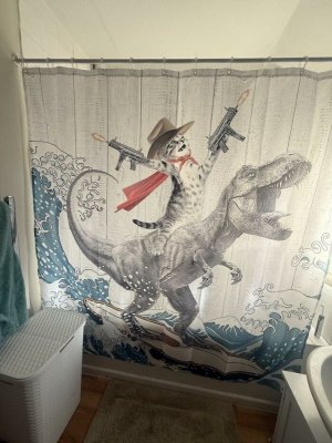 bestshwrcurtain.jpg