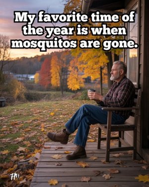 mosquitos.jpg