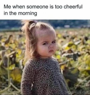 a me when someone too cheerful.jpg