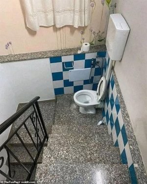 a funny pictures toilet.jpg