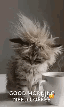 1000026010.gif