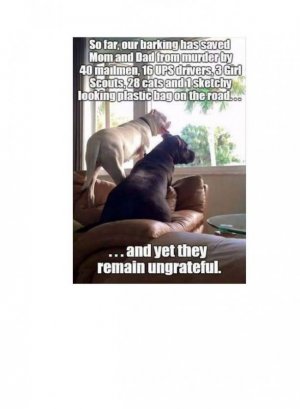 1760199032547.jpeg