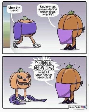 a pumpkin joke funny.jpg