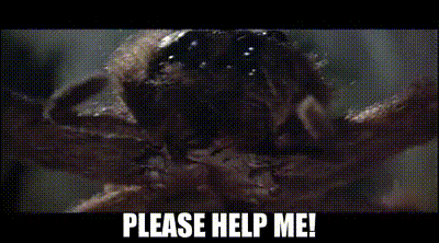 d22c04ef-0b7e-4b88-925a-bc22c5a56e51_text.gif