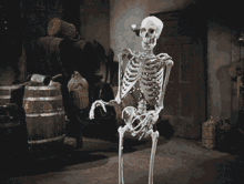 skeleton-spooky.gif