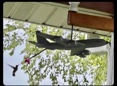hummingbird feeder.jpeg