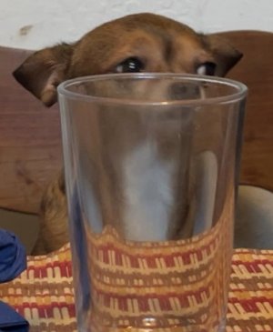 1760230763678.jpeg