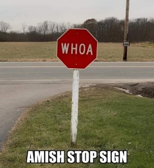 FB_IMG_1760218153039.jpg