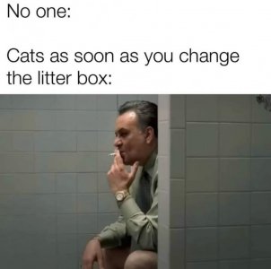 FB_IMG_1760152740580.jpg