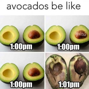 FB_IMG_1760145979253.jpg