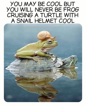 being cool.jpg