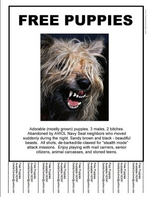 free-puppies.jpg