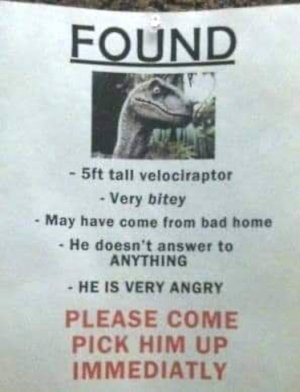 Velocraptor.jpg